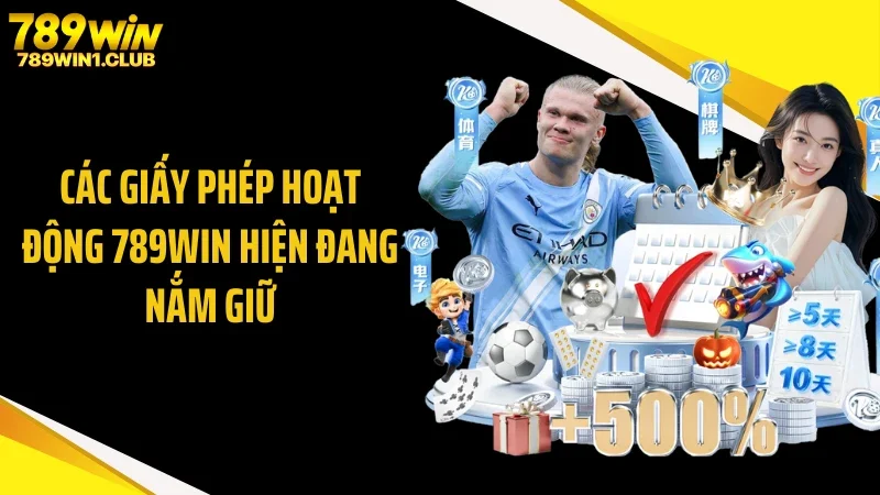 Các giấy phép hoạt động 789WIN hiện đang nắm giữ