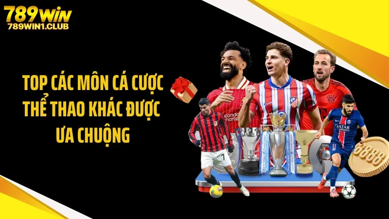 Top các môn cá cược thể thao khác được ưa chuộng